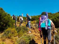 Guided Trekking Experience from Masua to Cala Domestica